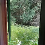 Hexenhaus Im Jagdhof Carlshaus Wernigerode