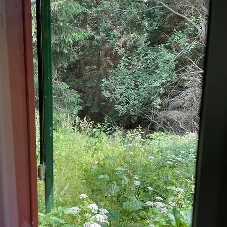Hexenhaus Im Jagdhof Carlshaus Wernigerode