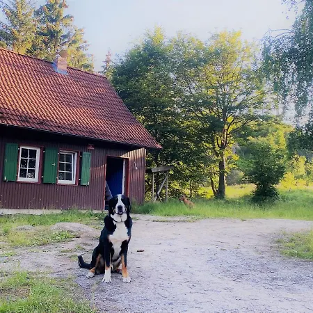 Hexenhaus Im Jagdhof Carlshaus *