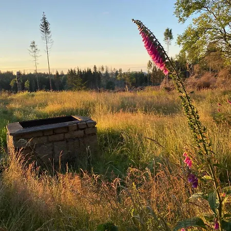 Hexenhaus Im Jagdhof Carlshaus *