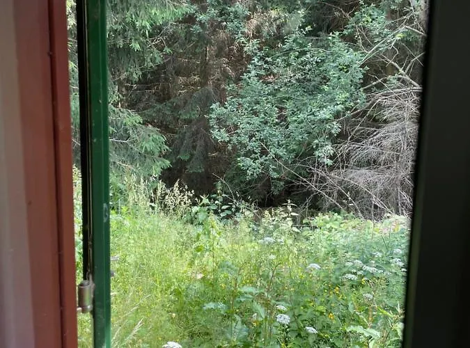 Hexenhaus Im Jagdhof Carlshaus Wernigerode