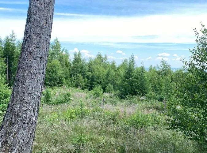 Prázdninový dům Hexenhaus Im Jagdhof Carlshaus Wernigerode