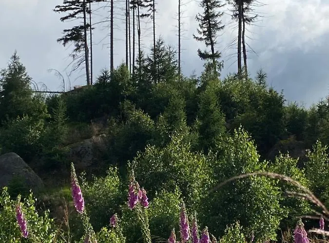Hexenhaus Im Jagdhof Carlshaus