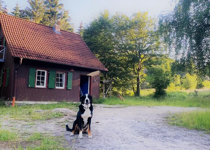 Hexenhaus Im Jagdhof Carlshaus *