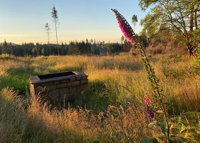 Hexenhaus Im Jagdhof Carlshaus *